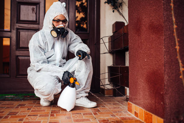 Reliable Wasp Removal contractor in Four Corners, TX by Show Me Pest Control